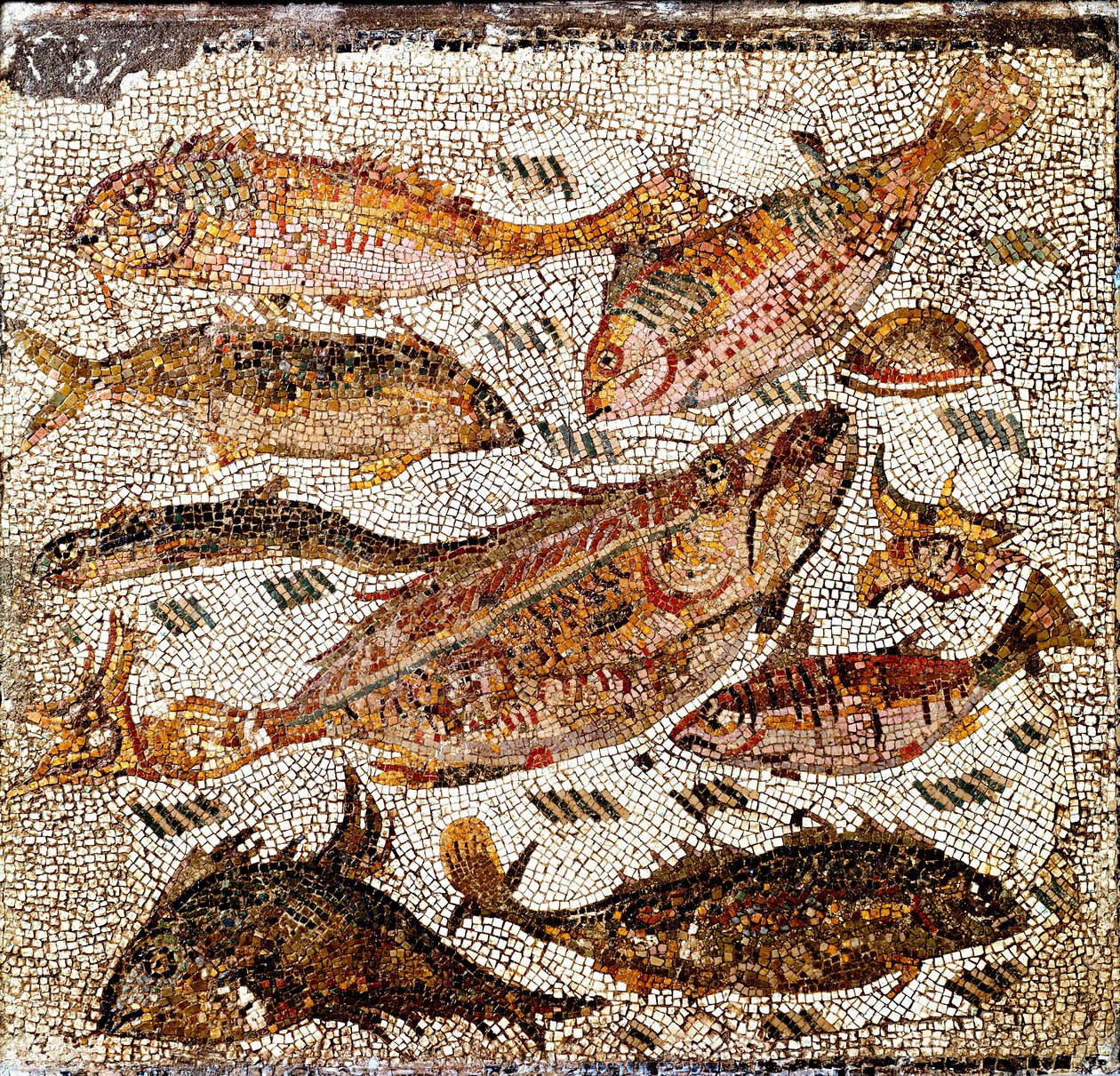 Zarzuela de poissons et fruits de mer
