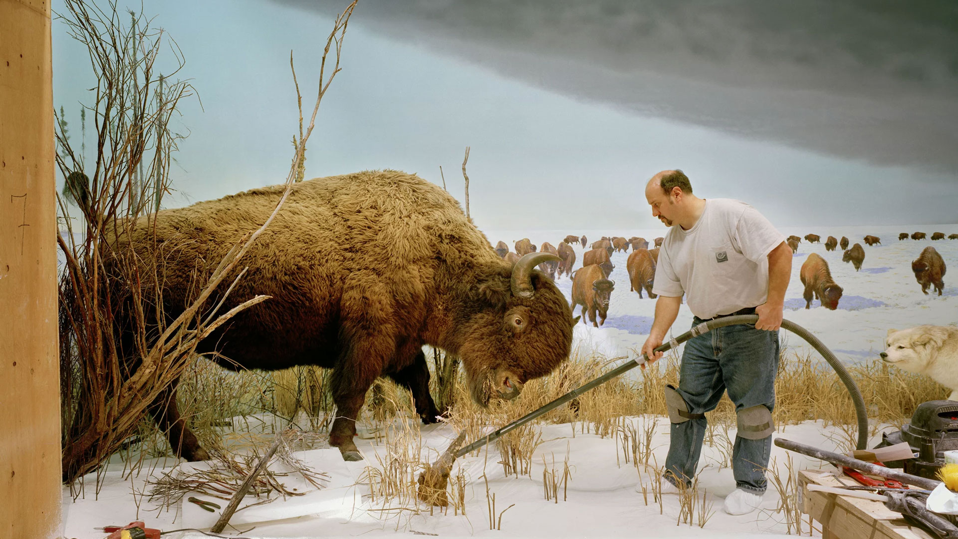 Palais de Tokyo / Dioramas
